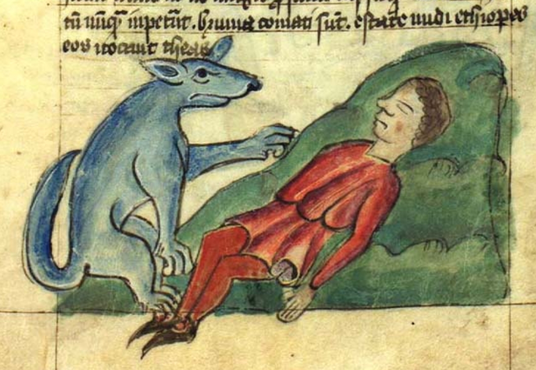 En lojal hund väcker sin ägare, bild från ett medeltida bestiarium