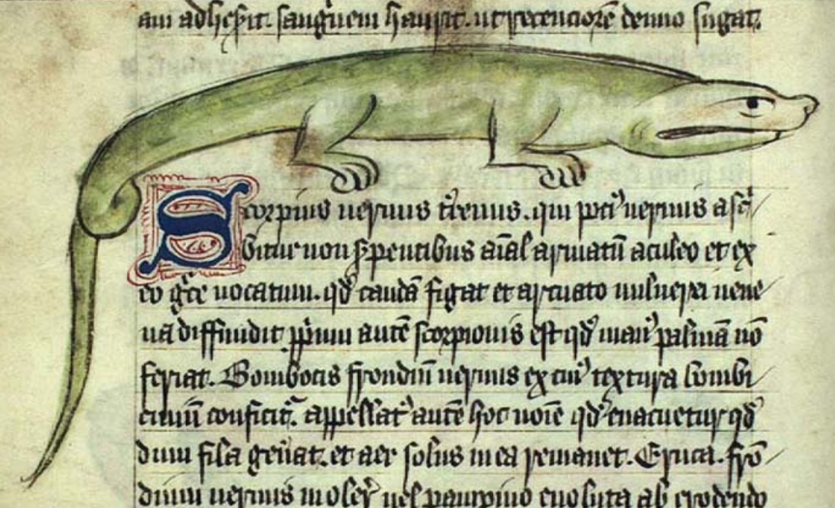 A green four-footed reptile
