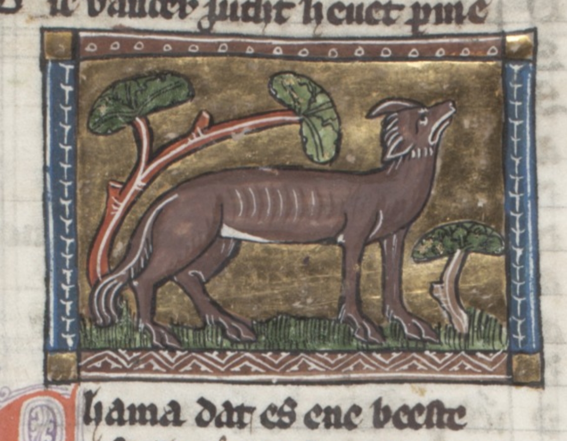 Lynx with cloven hooves