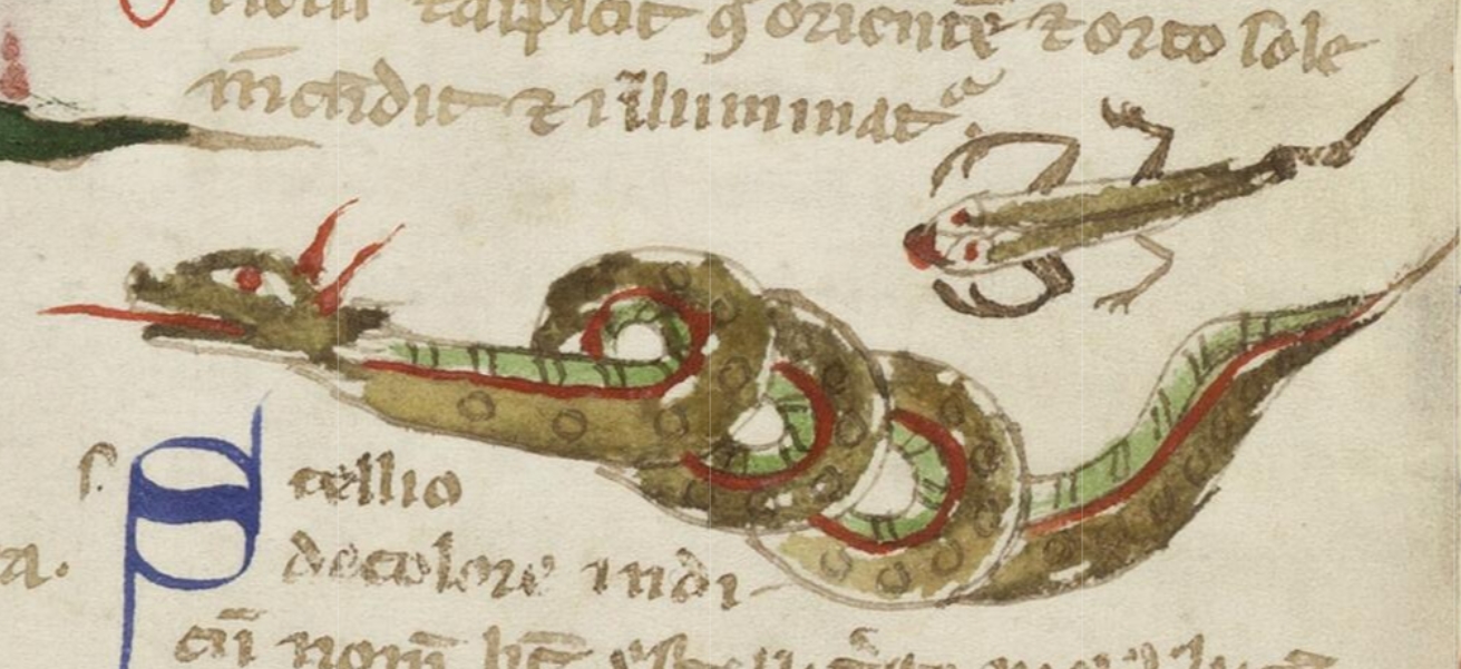 Medieval Scorpion Drawing