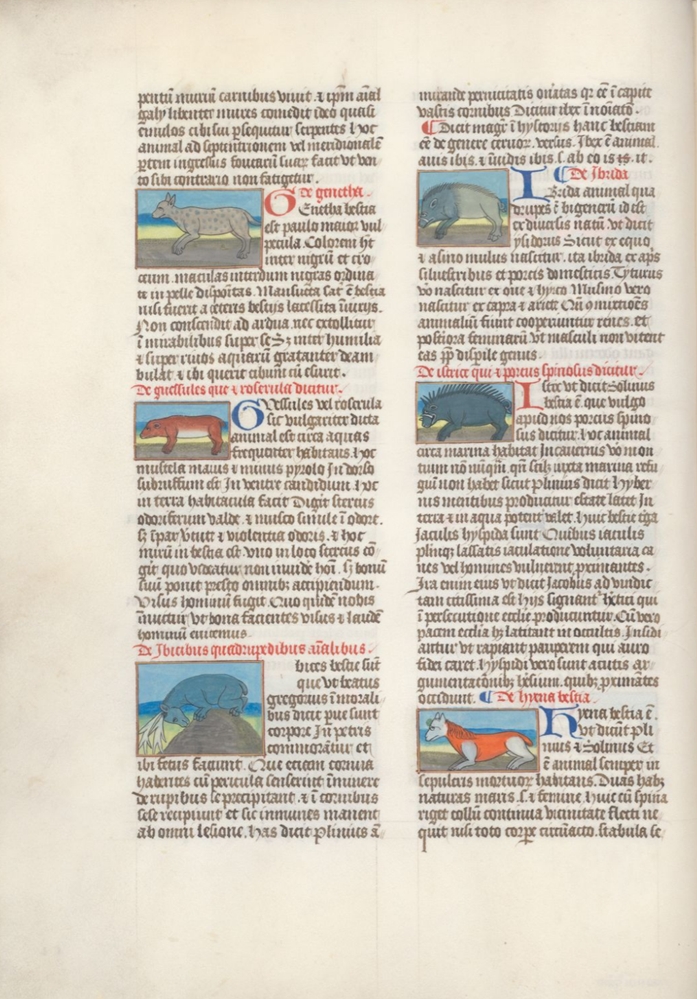 Sample page - Bisschoppelijk archief, Sint-Baafskapittel  Hs.15