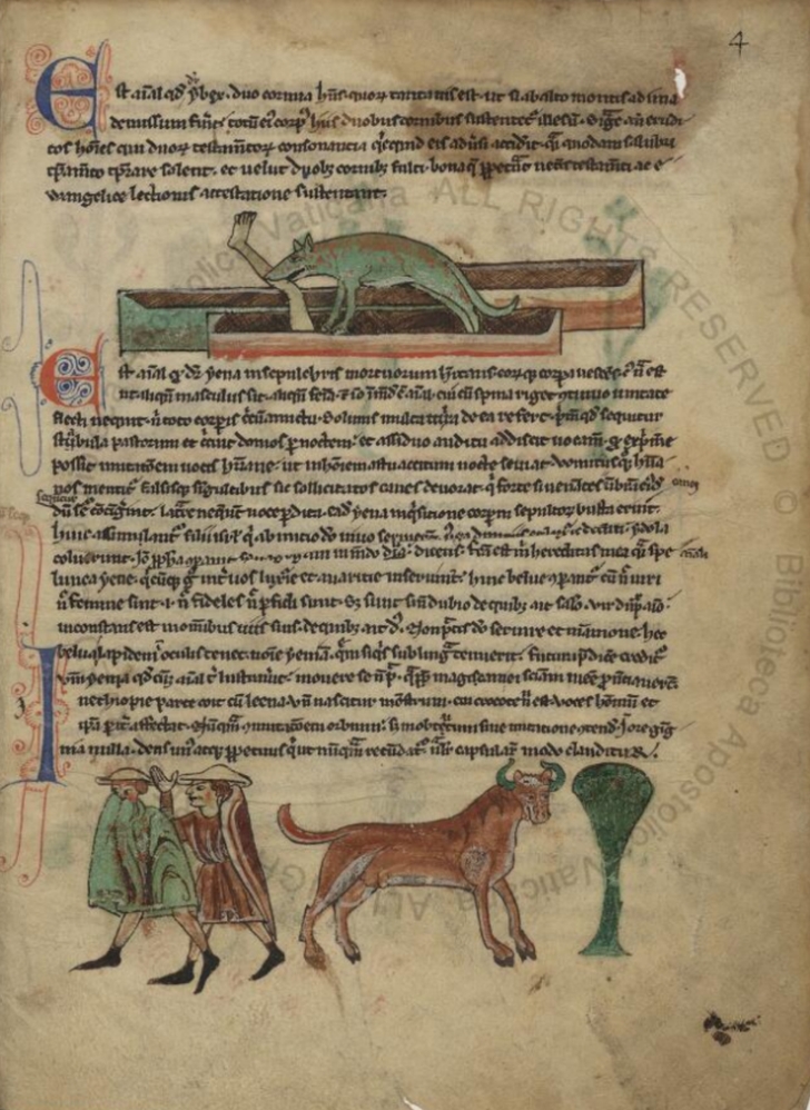 Sample page - Biblioteca Apostolica Vaticana Reg.lat.1862
