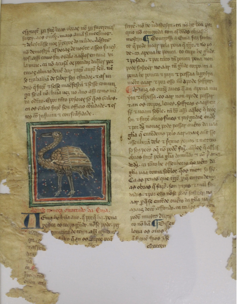 Sample page - Universidade de Brasilia Biblioteca Central Ms.02