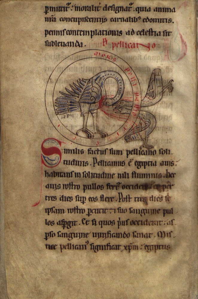 Sample page - Arquivo Nacional da Torre do Tombo Ms. 90