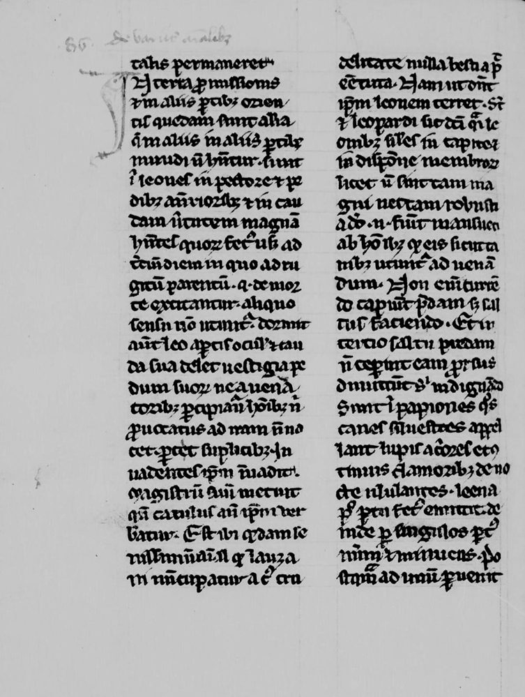 Sample oage - Mediathèque Jacques-Chirac (BM Troyes) MS 2403