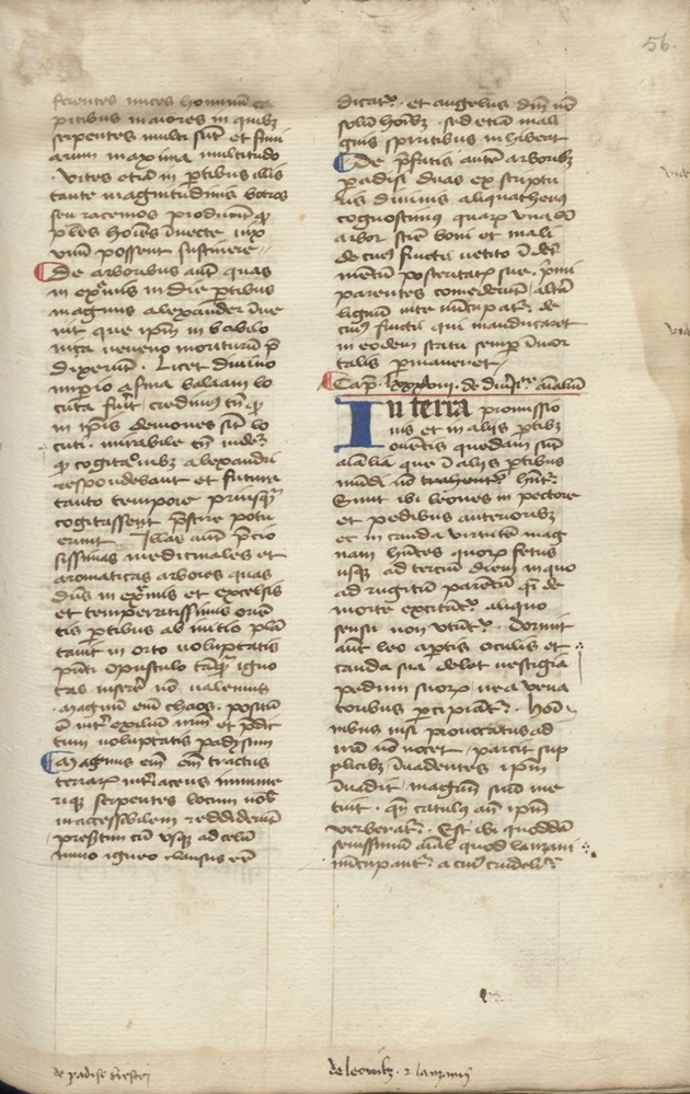 Sample page - Universiteitsbibliotheek Leiden BPL 42