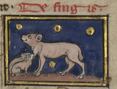 Finges suckling its young