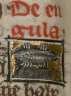 Tick with multiple legs