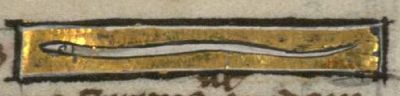 Seta, a hair-like worm