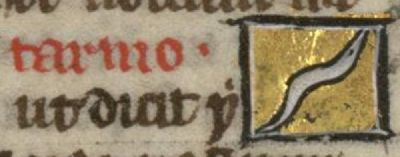 Tarmus as a white worm