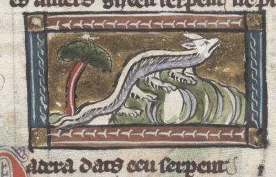 Nateros with mutltiple legs